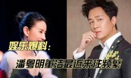 娱乐大爆料董洁视频,娱乐大爆料背后的真相与情感纠葛